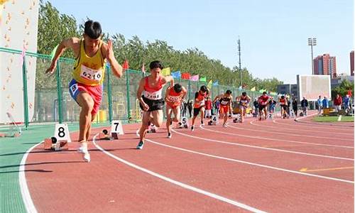 田径运动会成绩公布,2013田径运动会成绩表