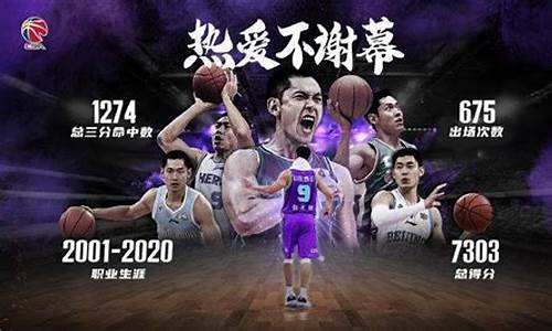 nba2018退役球员_2017篮球退役